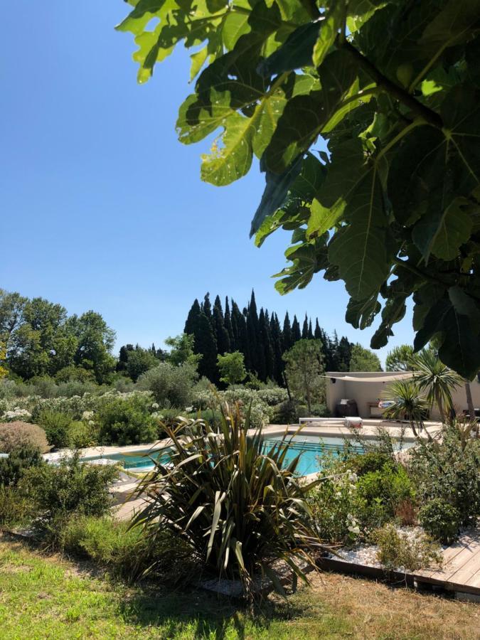 Châteaurenard La Maison Des Lonnes מראה חיצוני תמונה