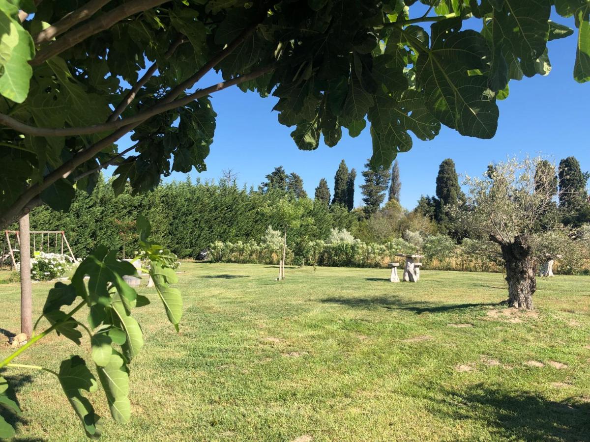 Châteaurenard La Maison Des Lonnes מראה חיצוני תמונה